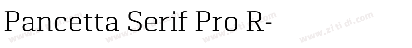 Pancetta Serif Pro R字体转换